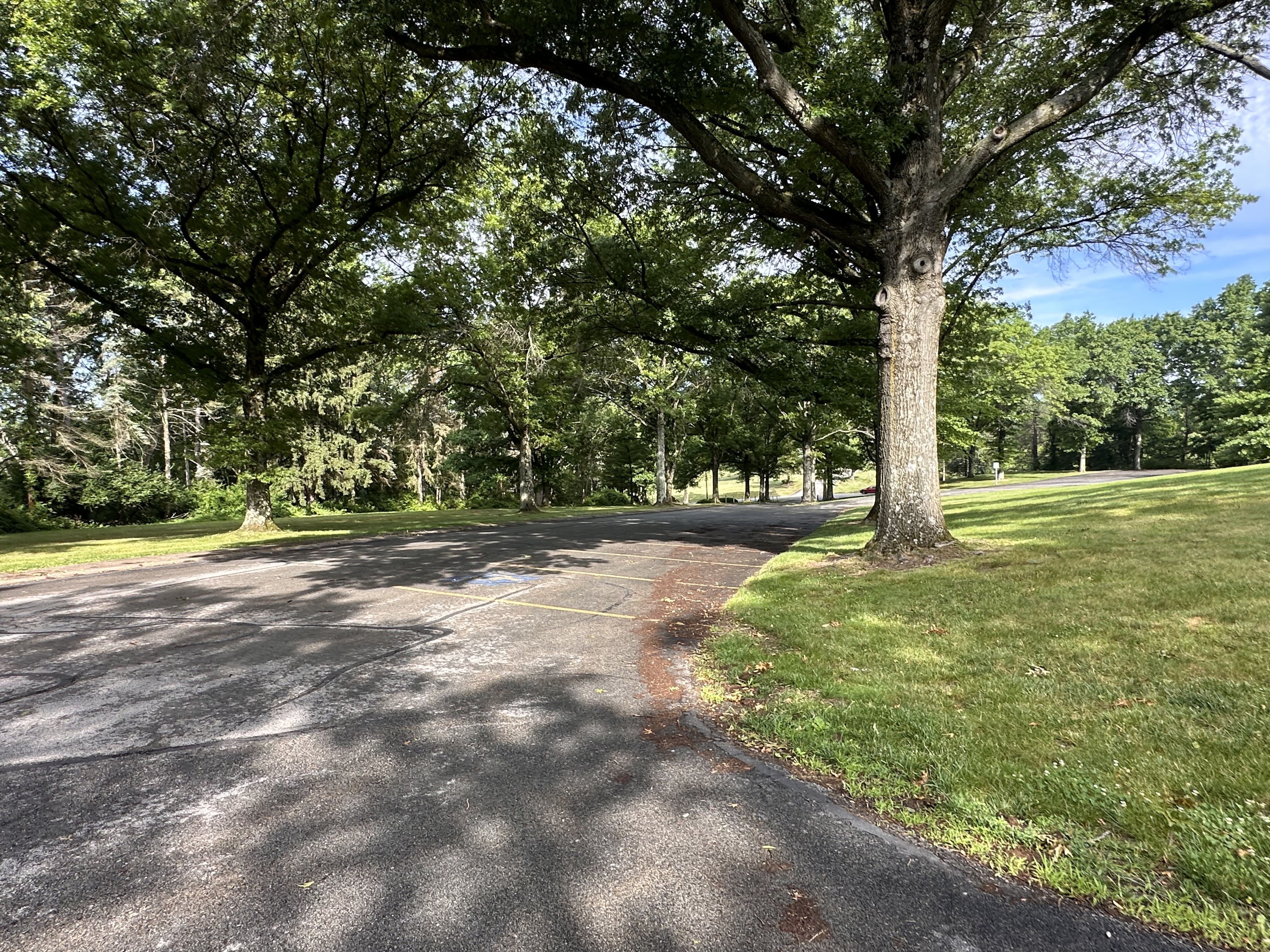 Property Photo #4